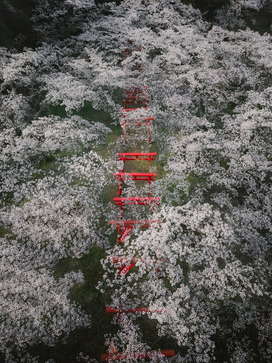 Post 1 by こに｜Ryo Konishi on Instagram (carousel)
