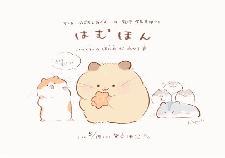 Post 6 by ふじもとめぐみ on Instagram (carousel)