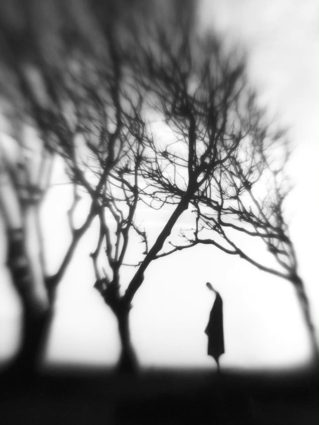 Post 6 by Hengki Lee on Instagram (image)