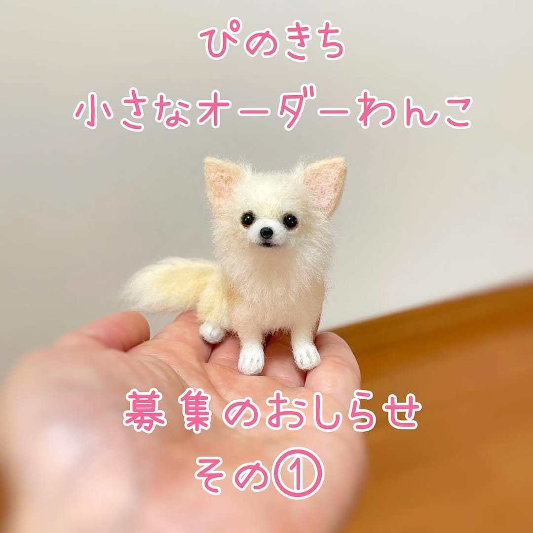 Post 10 by ぴのきち　Pinokichi on Instagram (image)