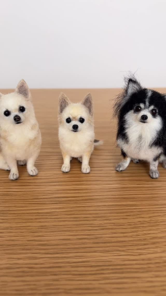 Post 6 by ぴのきち　Pinokichi on Instagram (video)