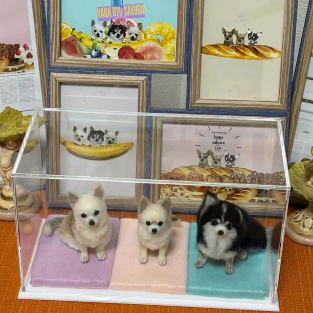 Post 2 by ぴのきち　Pinokichi on Instagram (video)