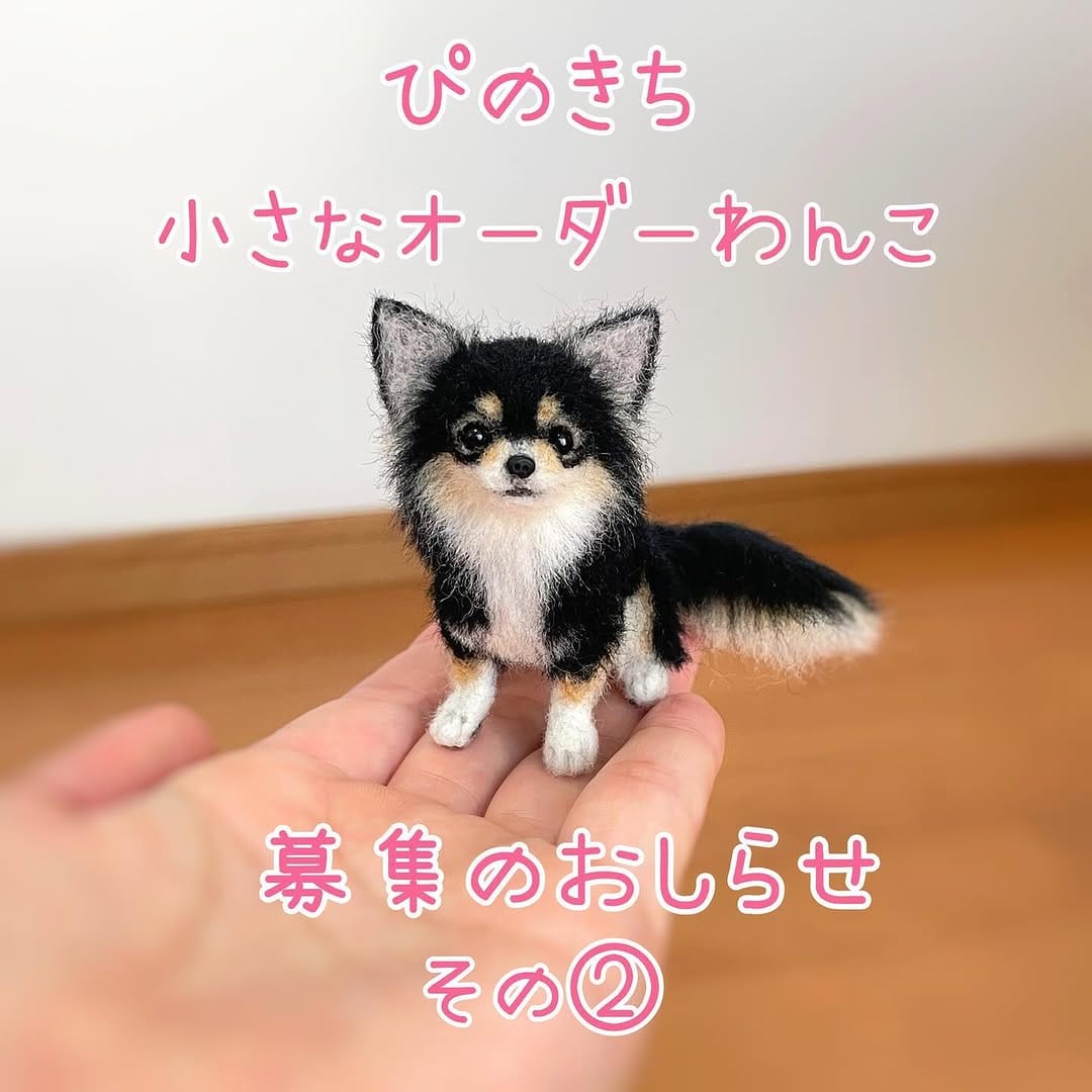 Post 9 by ぴのきち　Pinokichi on Instagram (image)