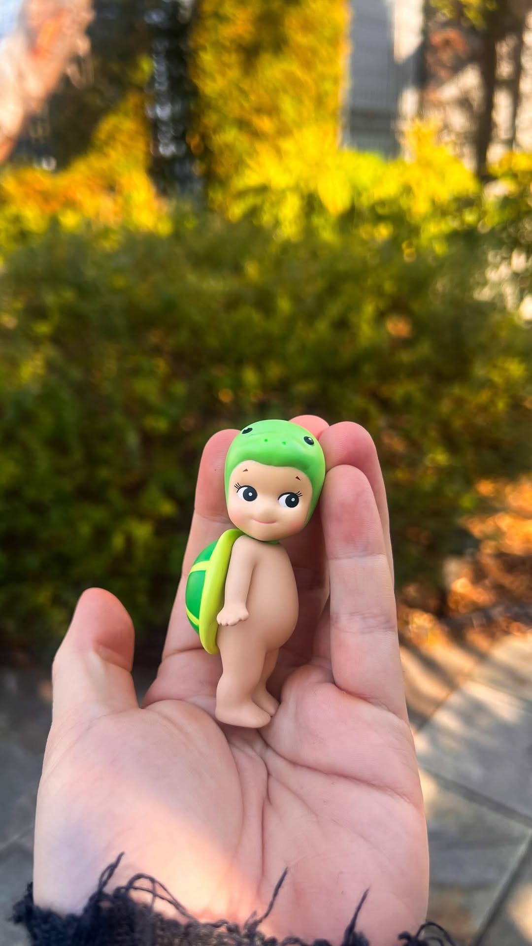 Post 6 by Justin Sumida 🌈 on Instagram (video)