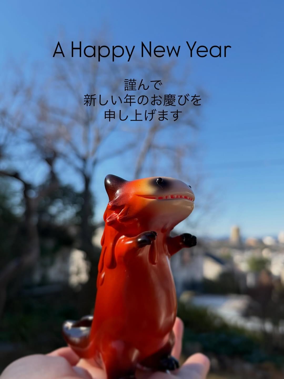 Post 8 by Shoko Nakazawa on Instagram (image)