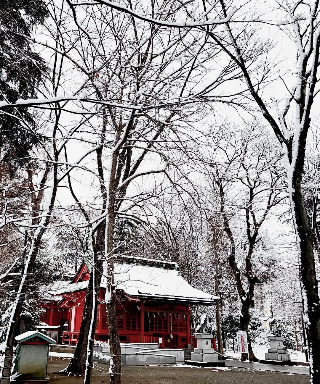 Post 6 by Shoko Nakazawa on Instagram (image)