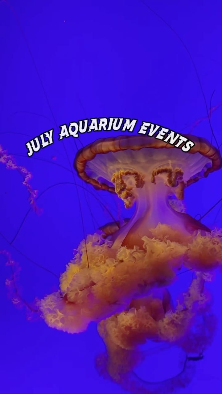 Post 4 by Ripley's Aquarium Myrtle Beach on Instagram (video)