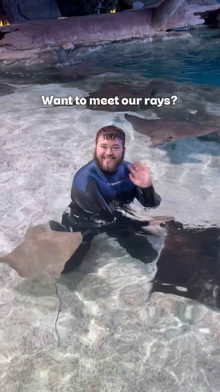 Post 7 by Ripley's Aquarium Myrtle Beach on Instagram (video)