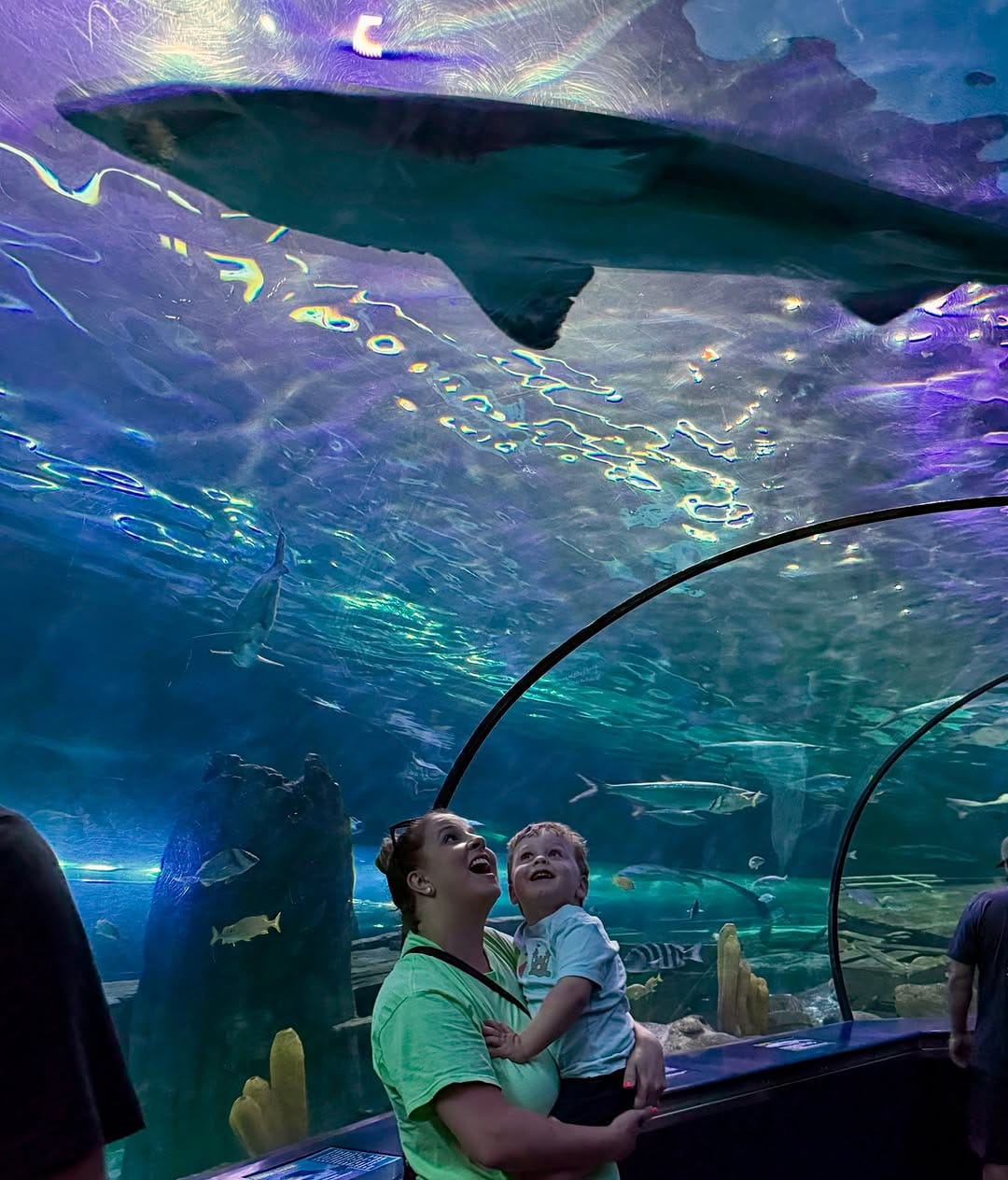 Post 6 by Ripley's Aquarium Myrtle Beach on Instagram (image)