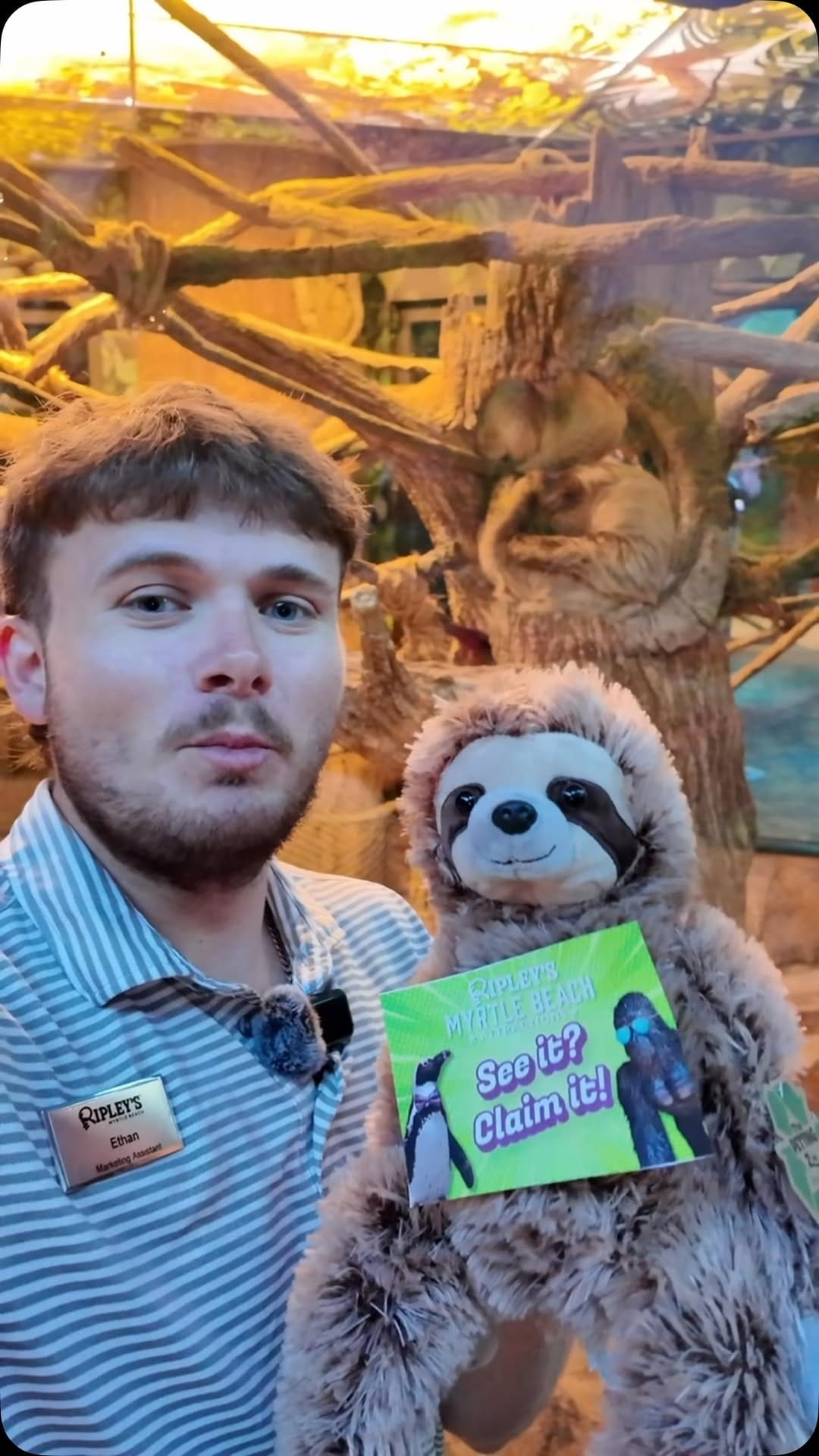 Post 8 by Ripley's Aquarium Myrtle Beach on Instagram (video)