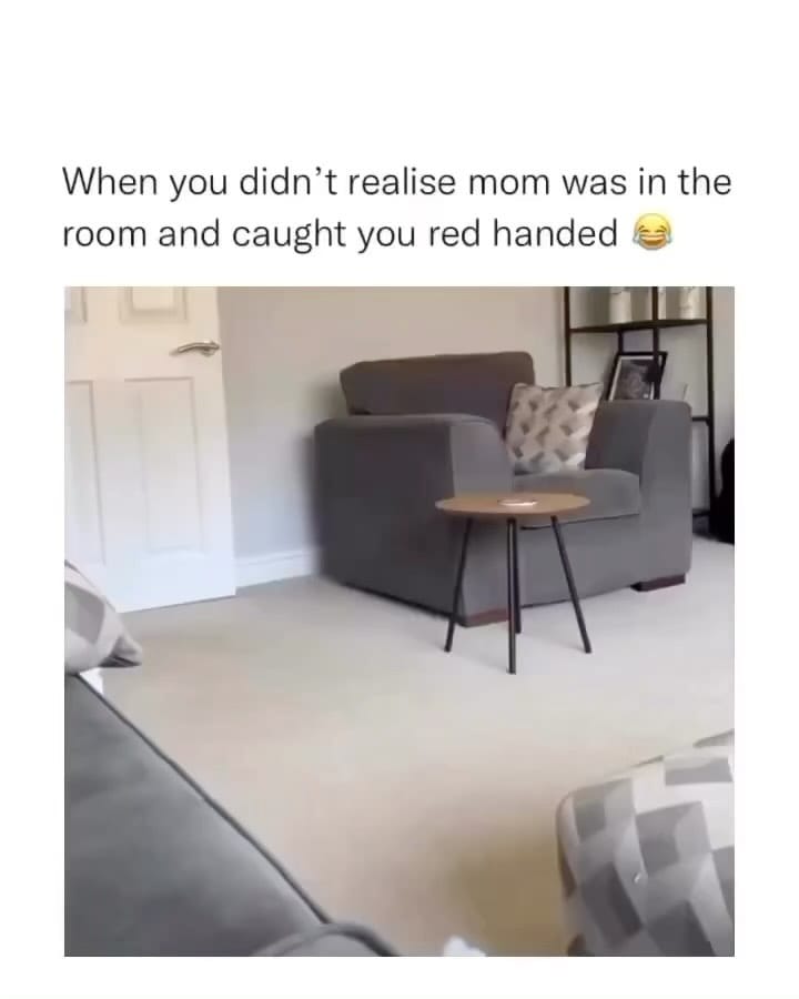 Post 3 by Master of Dog on Instagram (video)