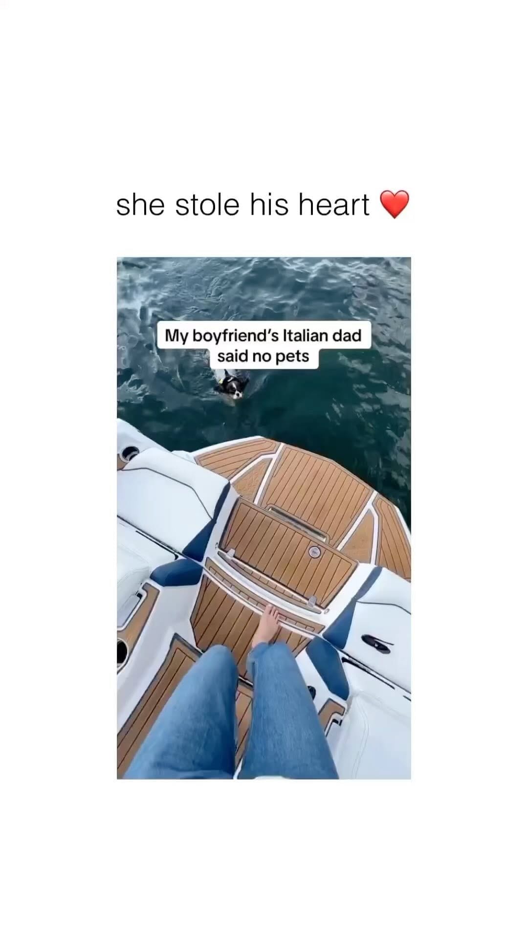 Post 1 by Master of Dog on Instagram (video)