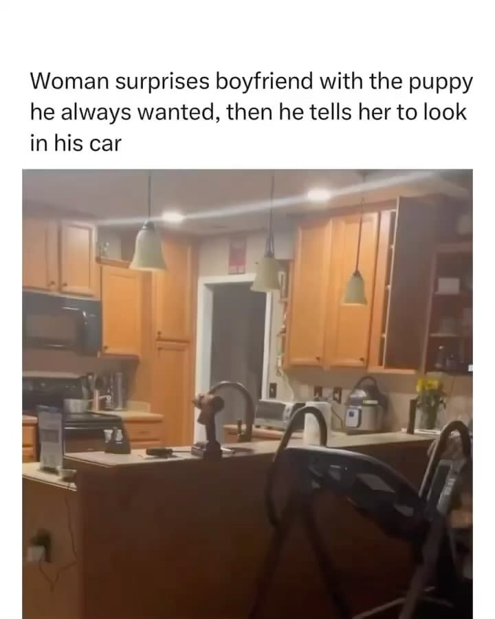 Post 4 by Master of Dog on Instagram (video)