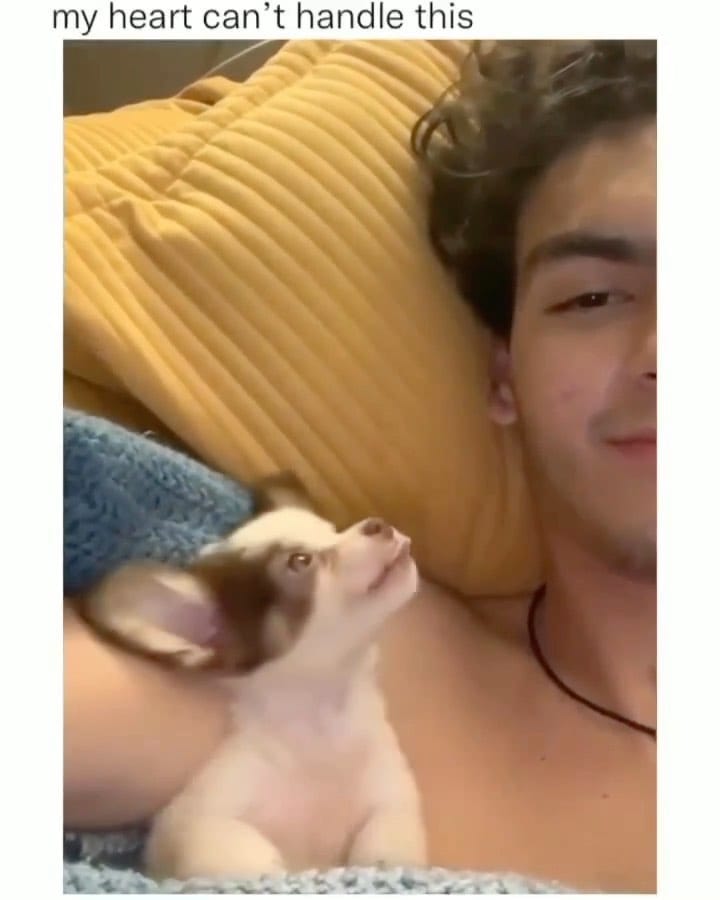 Post 2 by Master of Dog on Instagram (video)