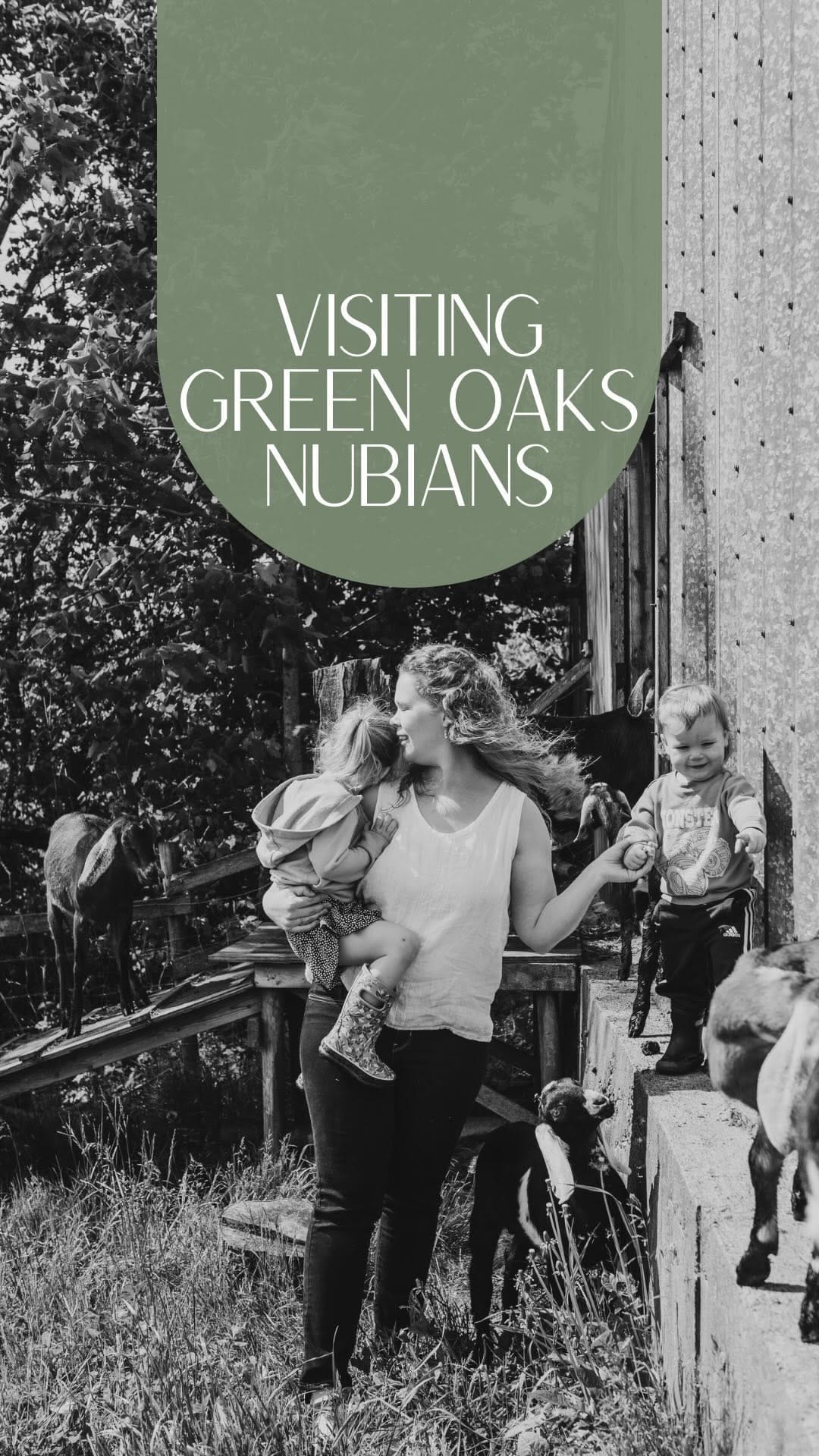 Post 10 by Green Oaks Nubians, Goats & Goat Milk Body Products on Instagram (video)