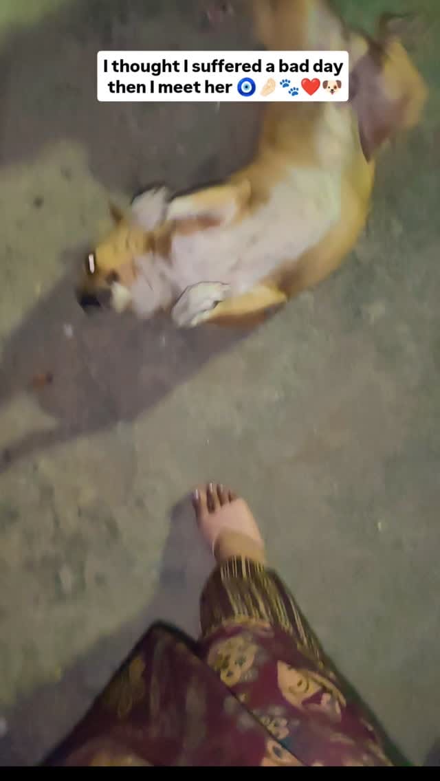 Post 1 by I'm here to help voiceless on Instagram (video)