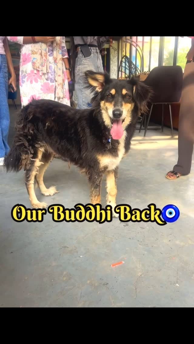 Post 6 by I'm here to help voiceless on Instagram (video)