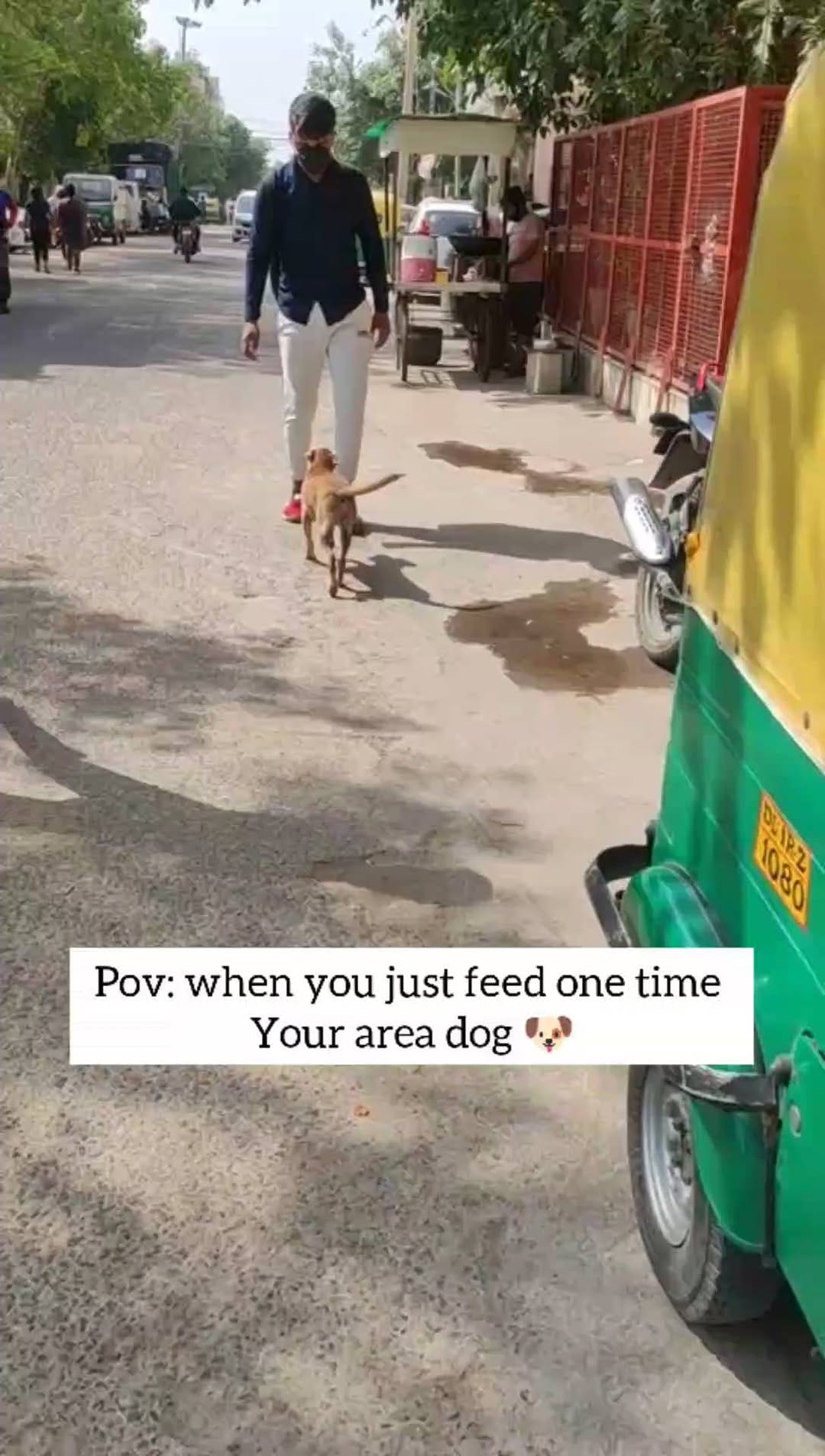Post 9 by I'm here to help voiceless on Instagram (video)