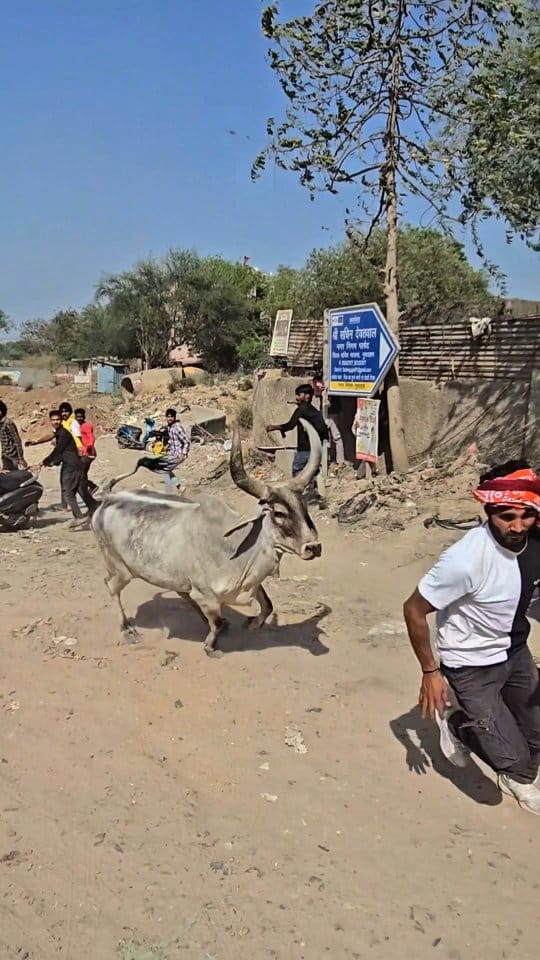Post 6 by 🇮🇳 नीटू राठी 🇮🇳 on Instagram (video)