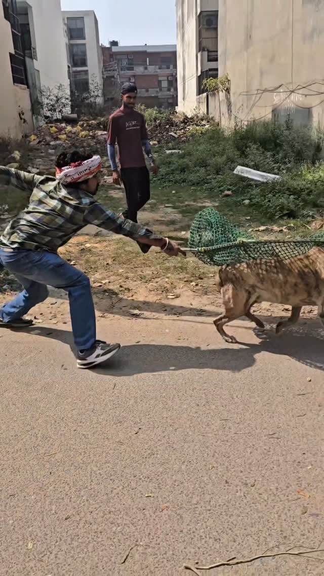 Post 3 by 🇮🇳 नीटू राठी 🇮🇳 on Instagram (video)