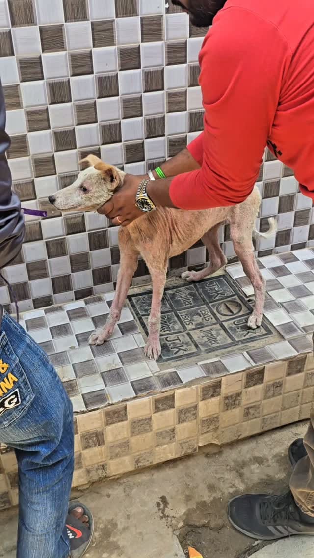 Post 4 by 🇮🇳 नीटू राठी 🇮🇳 on Instagram (video)