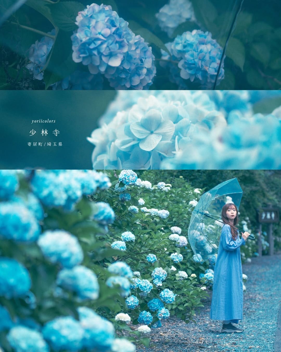 Post 4 by 櫻子🌸エモ写真旅 | 埼玉北部暮らし on Instagram (carousel)
