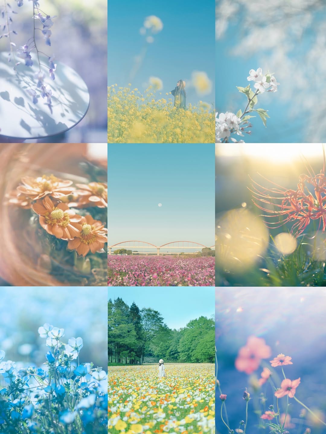 Post 3 by 櫻子🌸エモ写真旅 | 埼玉北部暮らし on Instagram (carousel)