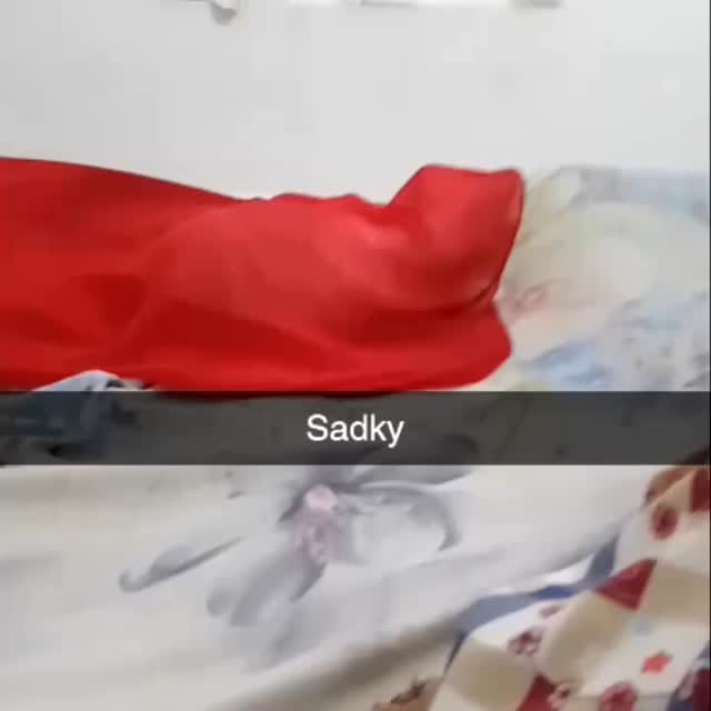 Post 1 by Hashtag Cat on Instagram (video)