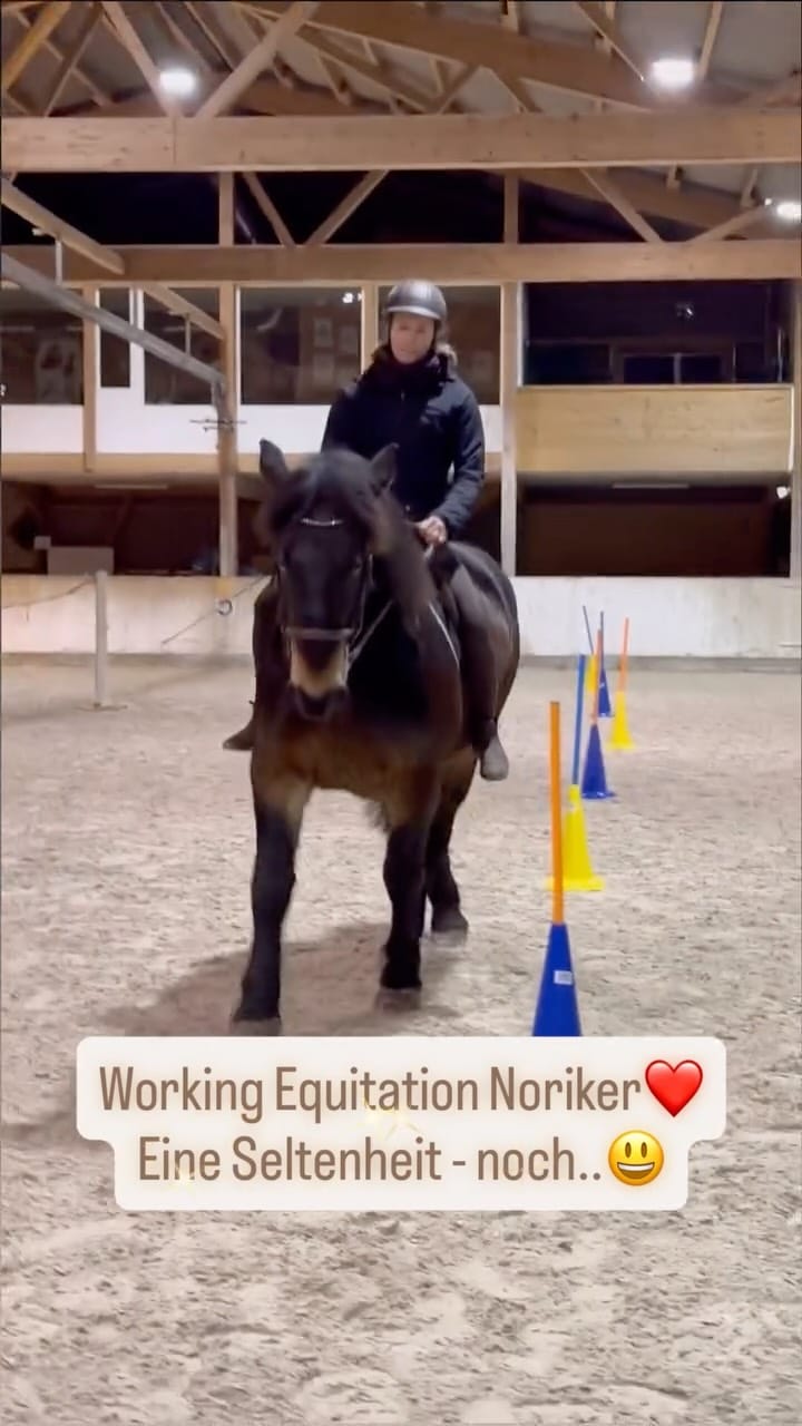 Post 10 by Daniela Materna • Funktionelles Pferdetraining on Instagram (video)