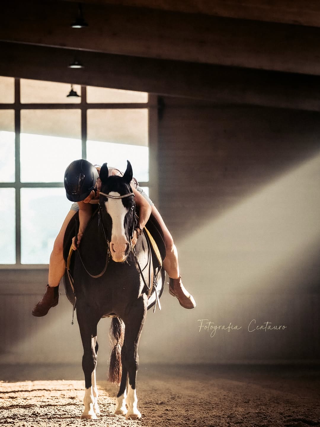 Post 3 by Daniela Materna • Funktionelles Pferdetraining on Instagram (image)