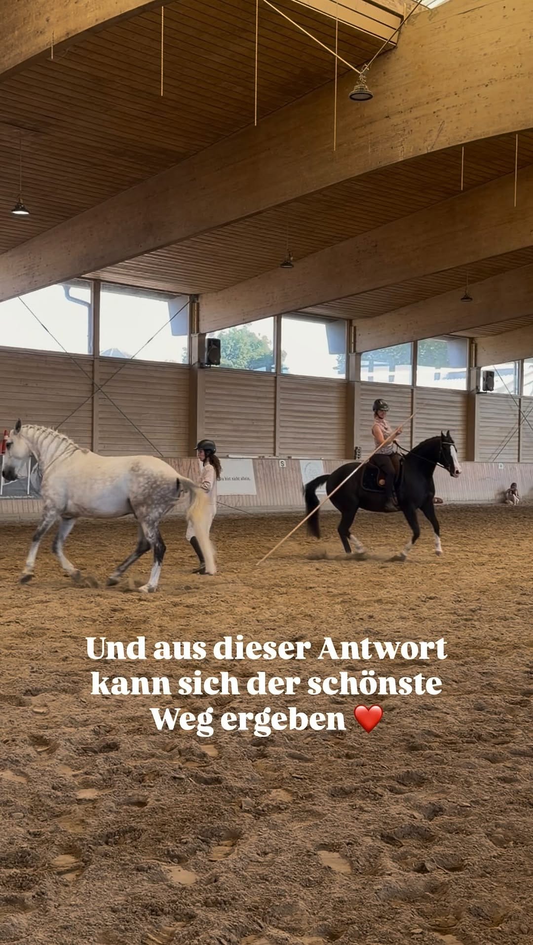 Post 2 by Daniela Materna • Funktionelles Pferdetraining on Instagram (video)