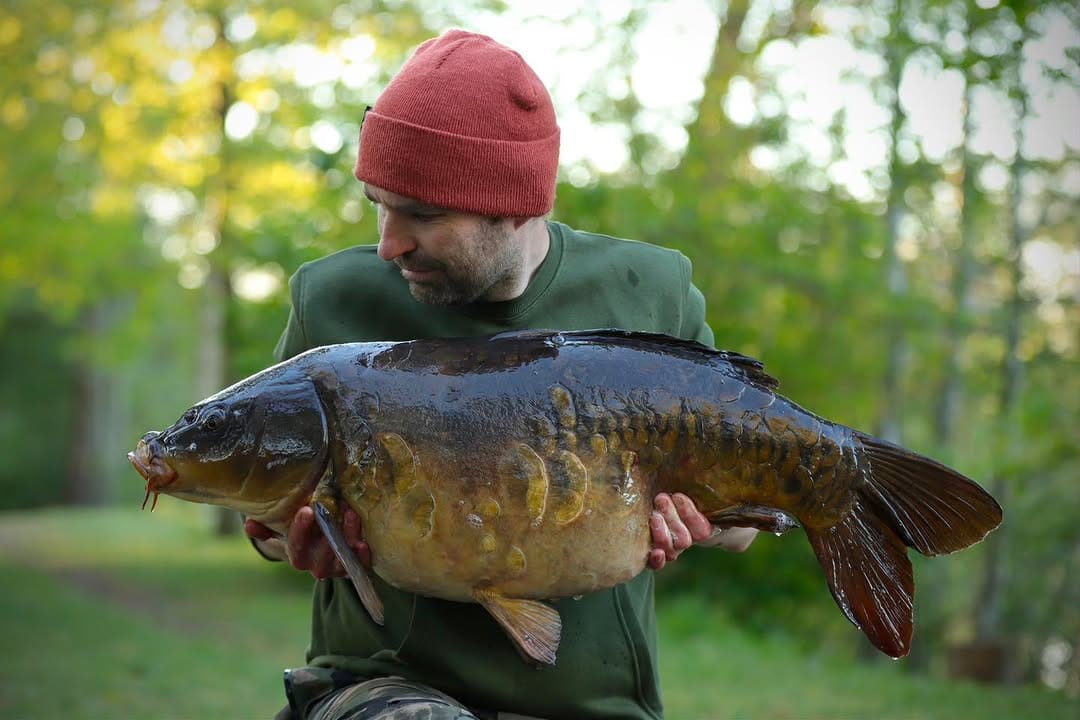 Post 5 by RG Baits on Instagram (carousel)