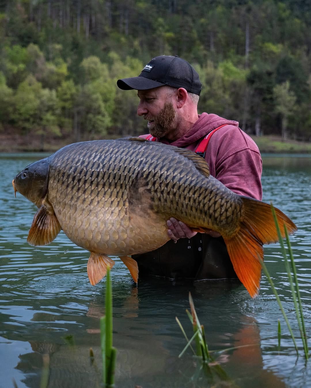 Post 3 by RG Baits on Instagram (carousel)