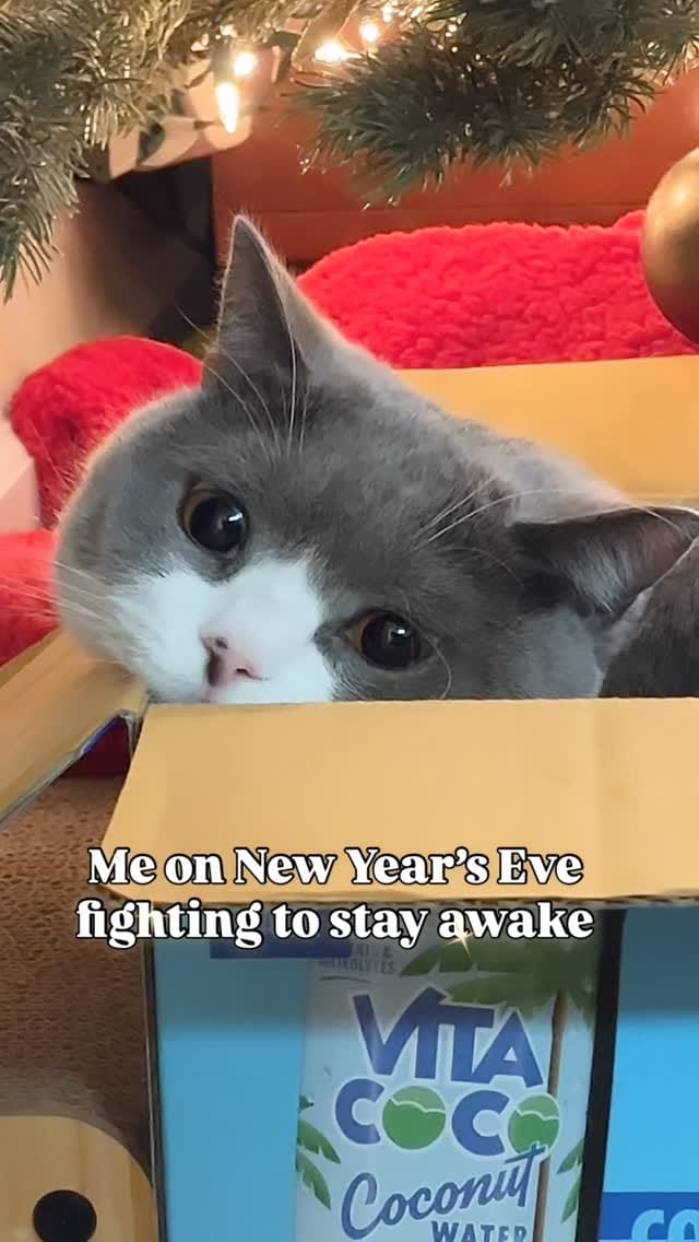Post 4 by Monet (Φ ᆺ Φ) on Instagram (video)