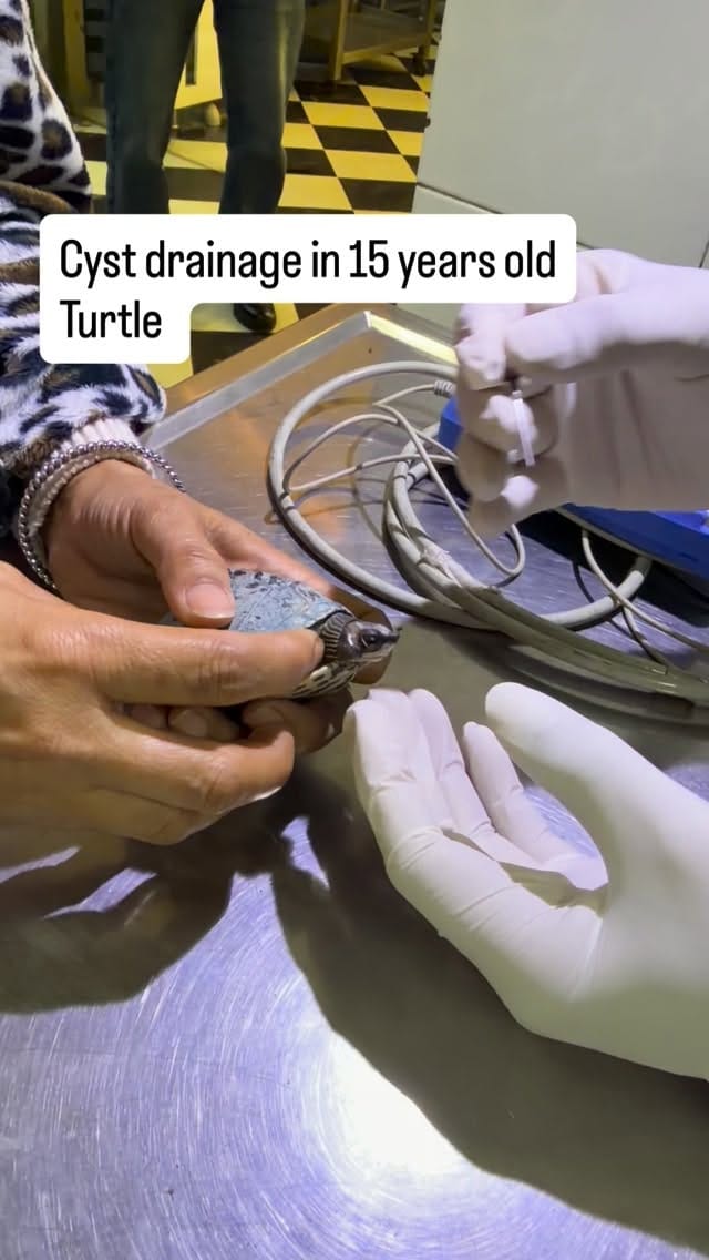 Post 6 by Dr. Gaurav Sardana❄ on Instagram (video)