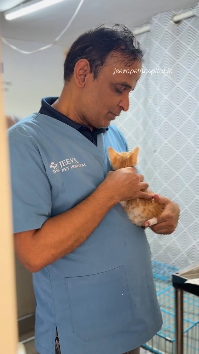 Post 6 by Jeeva Pet Hospital on Instagram (video)