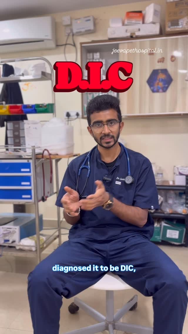 Post 10 by Jeeva Pet Hospital on Instagram (video)