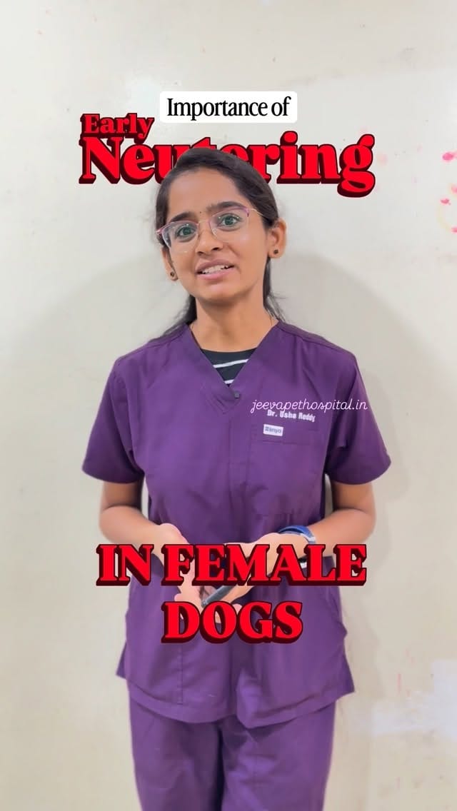 Post 7 by Jeeva Pet Hospital on Instagram (video)