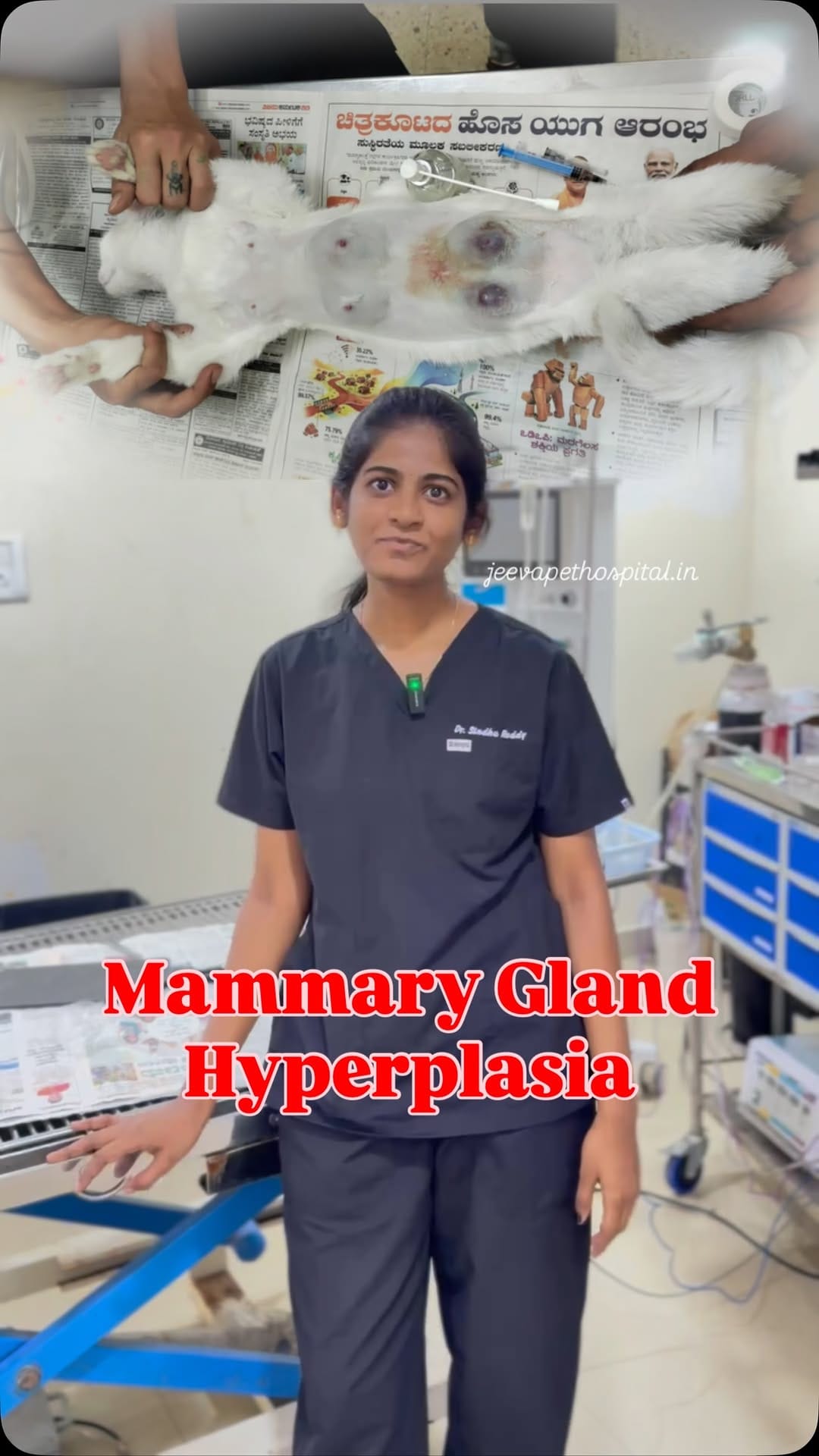 Post 2 by Jeeva Pet Hospital on Instagram (video)