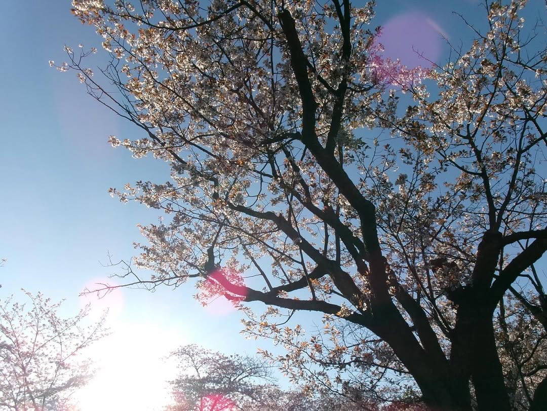 Post 5 by 山田健登 / Kent Yamada on Instagram (carousel)