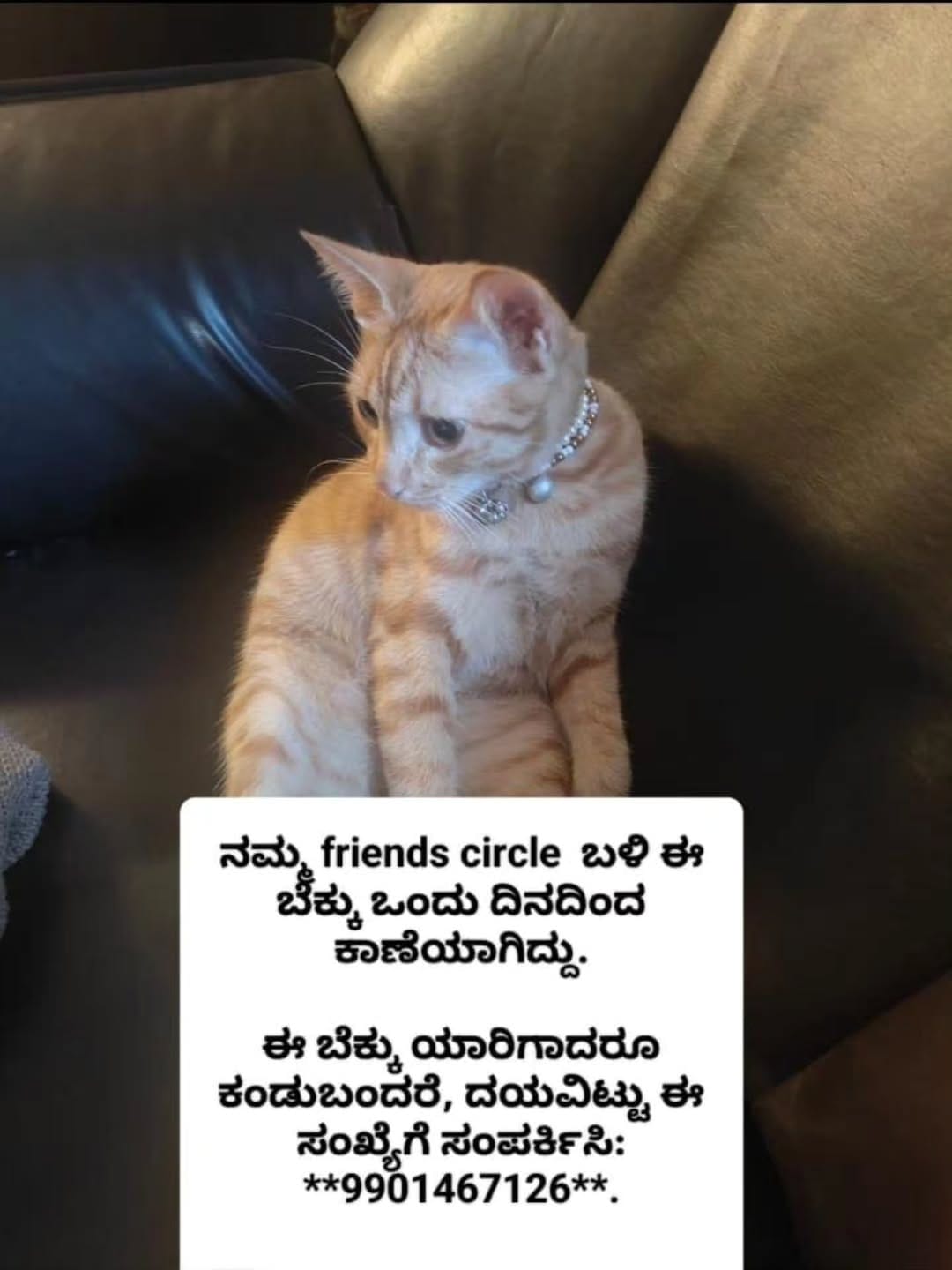 Post 3 by ಆಸರೆ ಅನಿಮಲ್ ಟ್ರಸ್ಟ್ on Instagram (image)