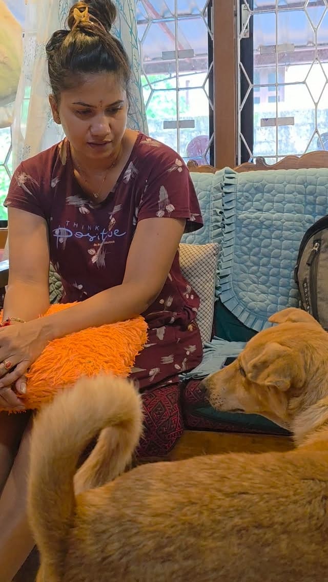 Post 9 by ಆಸರೆ ಅನಿಮಲ್ ಟ್ರಸ್ಟ್ on Instagram (video)