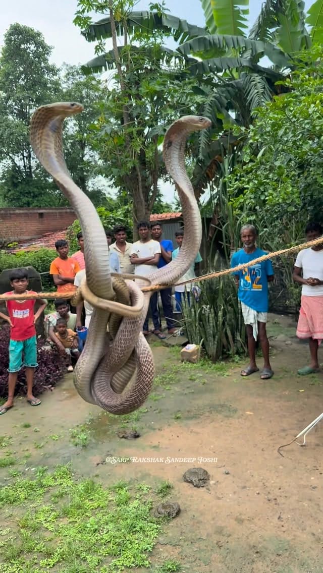 Post 3 by Sarp Rakshak Sandeep Joshi on Instagram (video)