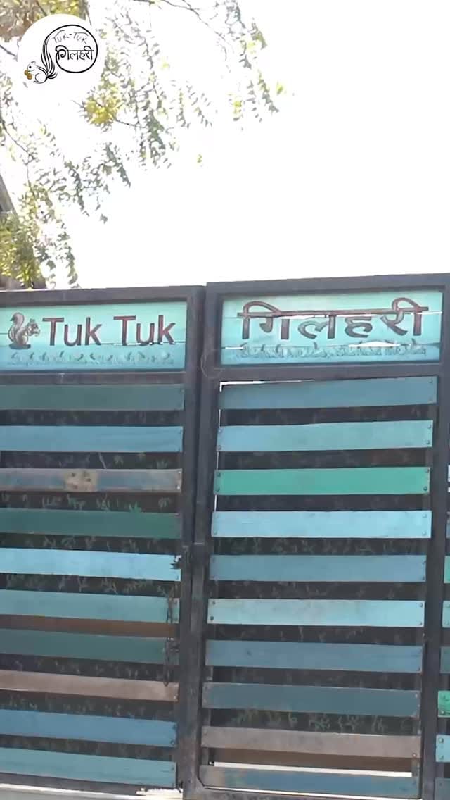 Post 8 by Tuk Tuk Gilhari on Instagram (video)