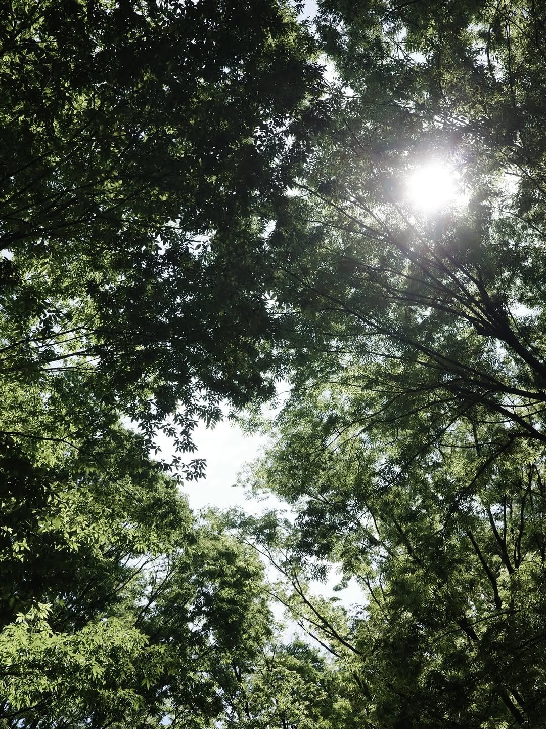 Post 7 by 鳥越裕貴/yuki torigoe on Instagram (image)