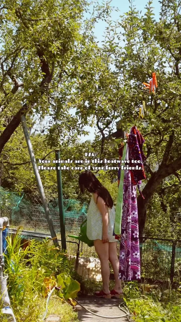 Post 7 by ❁ Emma ❁ 60s muse ❁ mom ❁ on Instagram (video)