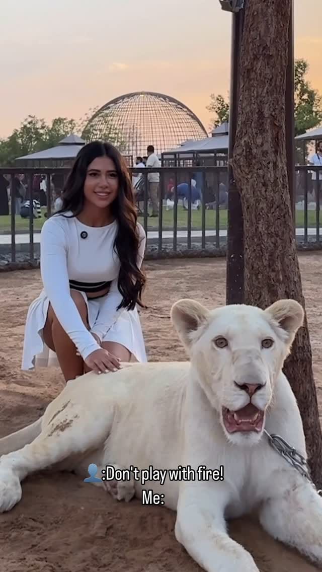 Post 10 by Parinaz Ahmadzadeh on Instagram (video)
