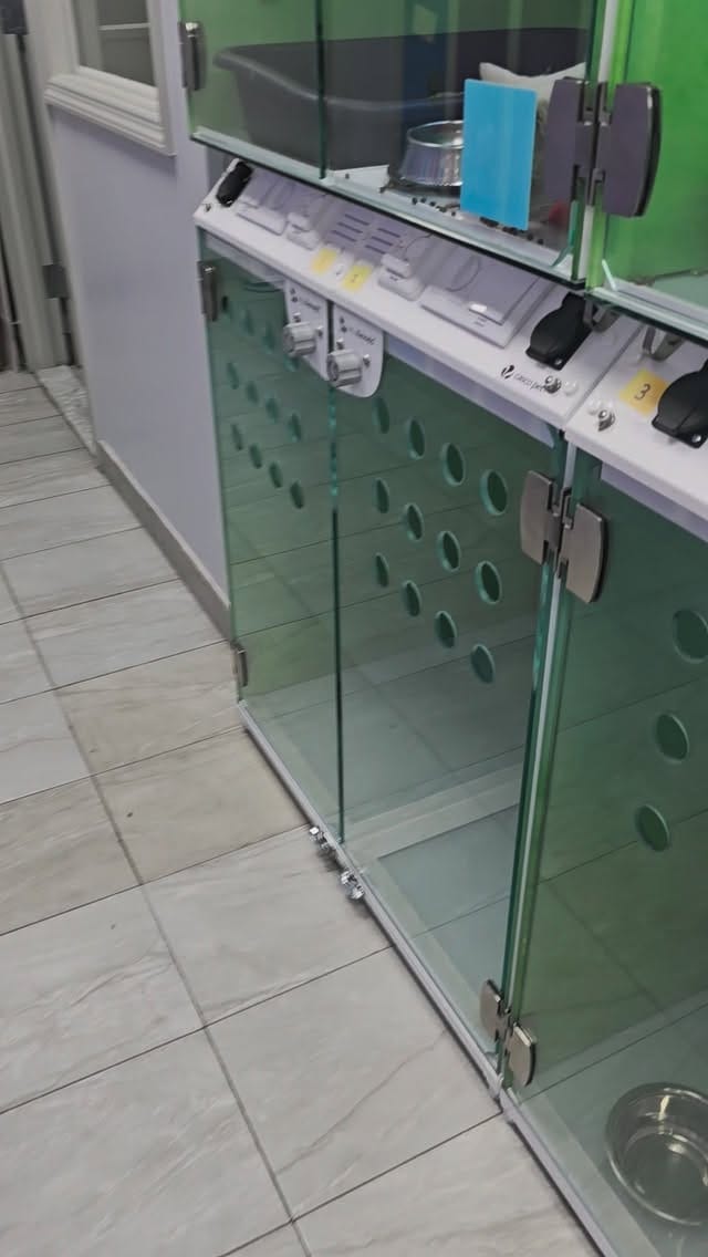 Post 1 by The Neighborhood Vet on Instagram (video)