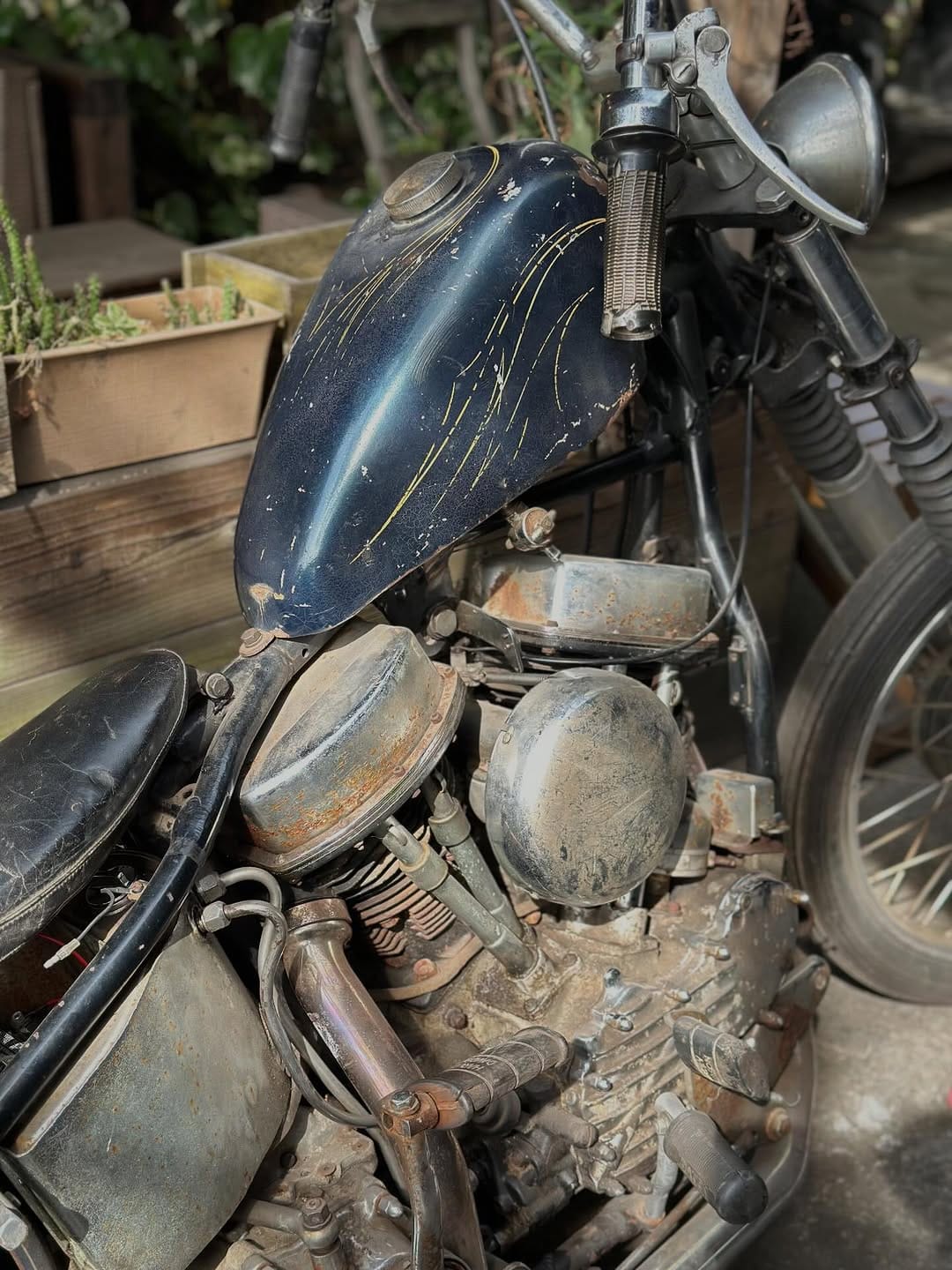 Post 9 by Takamitsu Yashiro on Instagram (image)