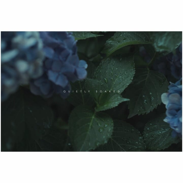 Post 3 by Masato Yanagida on Instagram (carousel)